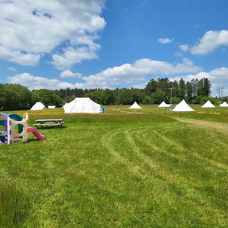Dorset Glamping Fields Hotel Corfe Mullen Ngoại thất bức ảnh
