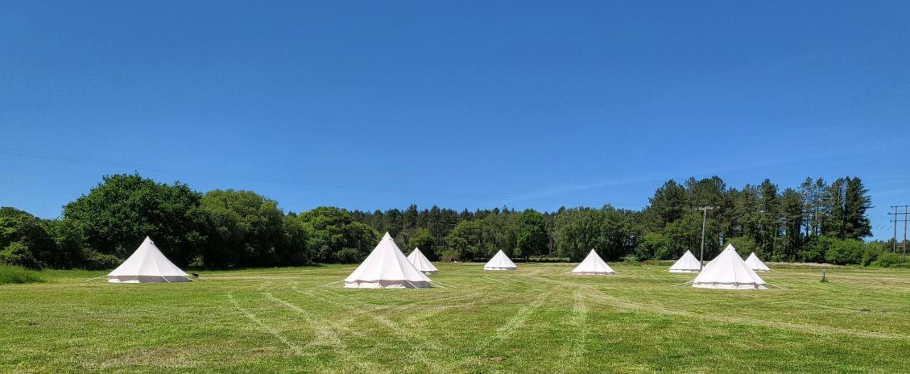 Dorset Glamping Fields Hotel Corfe Mullen Ngoại thất bức ảnh