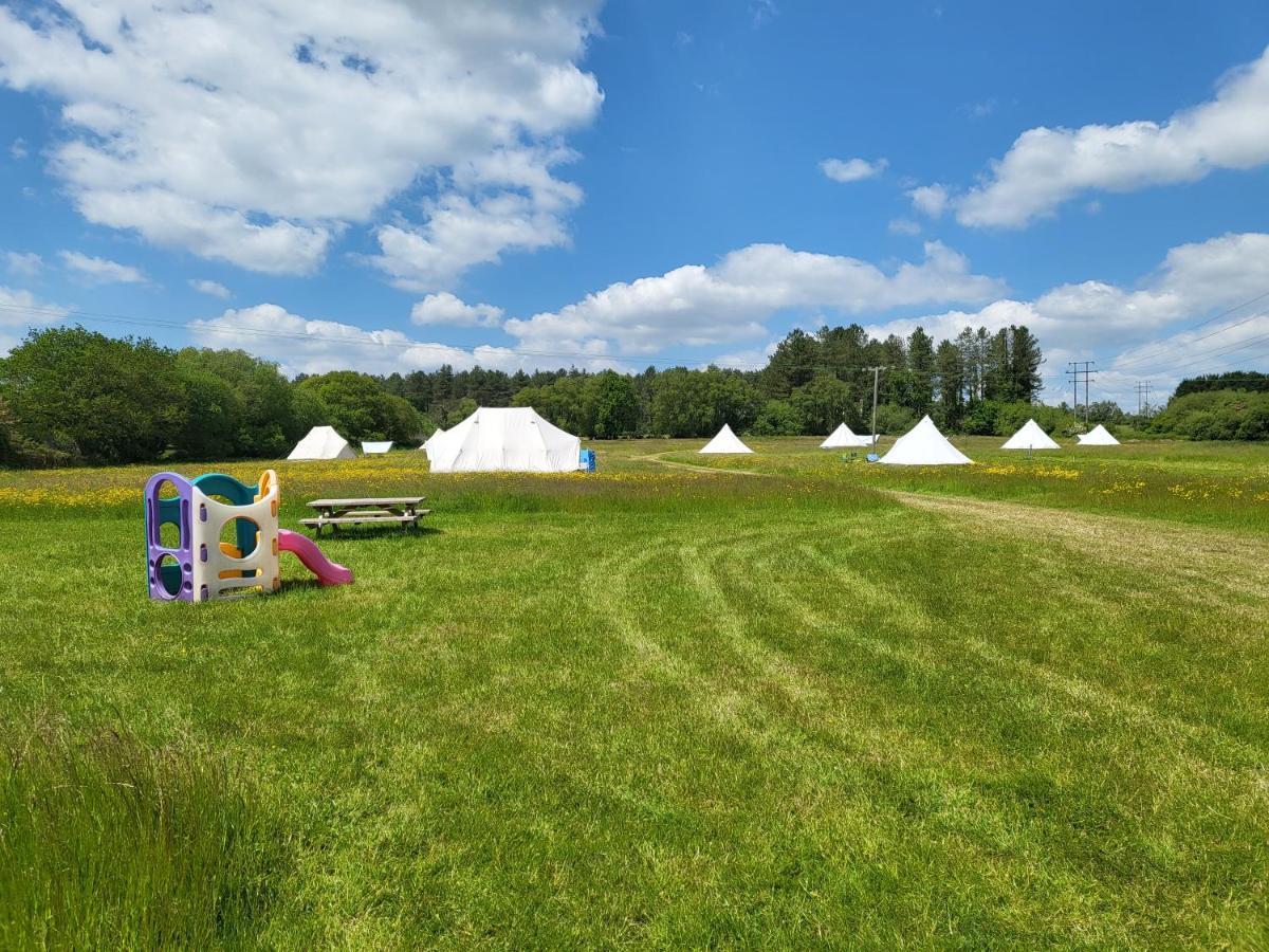 Dorset Glamping Fields Hotel Corfe Mullen Ngoại thất bức ảnh