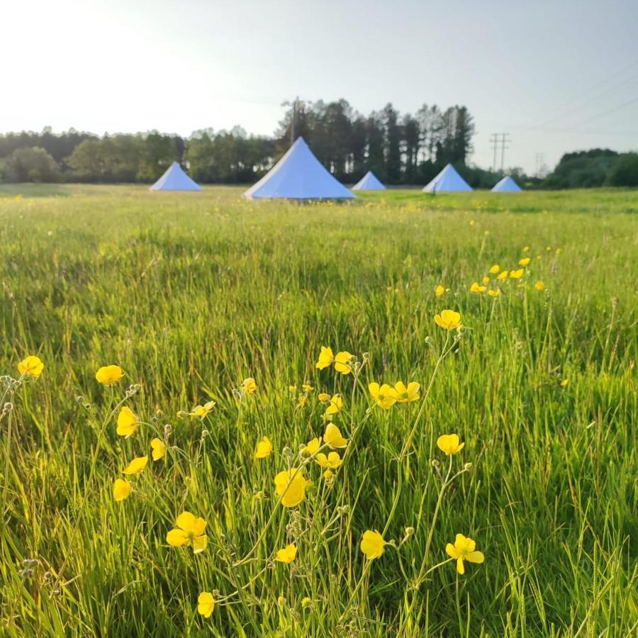 Dorset Glamping Fields Hotel Corfe Mullen Ngoại thất bức ảnh